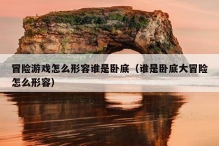 冒险游戏怎么形容谁是卧底（谁是卧底大冒险怎么形容）