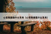 心思敏捷指什么生肖（心思敏捷是什么生肖）