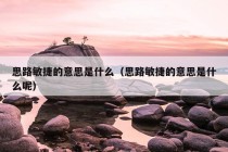 思路敏捷的意思是什么（思路敏捷的意思是什么呢）