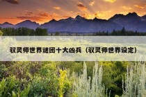 驭灵师世界谜团十大凶兵（驭灵师世界设定）