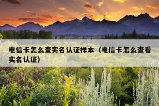 电信卡怎么查实名认证样本（电信卡怎么查看实名认证）