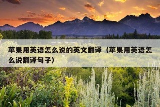 苹果用英语怎么说的英文翻译（苹果用英语怎么说翻译句子）