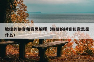 敏捷的拼音和意思解释（敏捷的拼音和意思是什么）