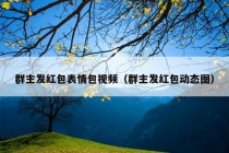 群主发红包表情包视频（群主发红包动态图）