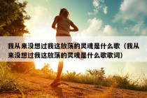 我从来没想过我这放荡的灵魂是什么歌（我从来没想过我这放荡的灵魂是什么歌歌词）