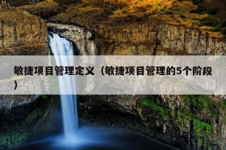 敏捷项目管理定义（敏捷项目管理的5个阶段）