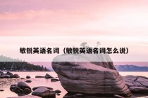 敏锐英语名词（敏锐英语名词怎么说）