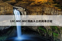 18C.MIC.MIC漫画入口的简单介绍