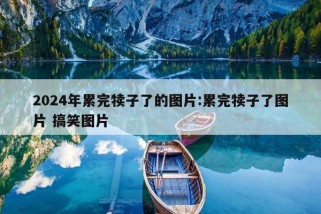 2024年累完犊子了的图片:累完犊子了图片 搞笑图片