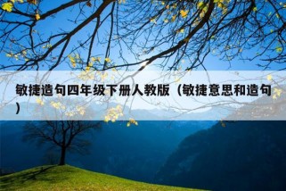 敏捷造句四年级下册人教版（敏捷意思和造句）