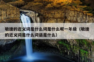 敏捷的近义词是什么词是什么呢一年级（敏捷的近义词是什么词语是什么）