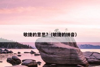 敏捷的意思?（敏捷的拼音）