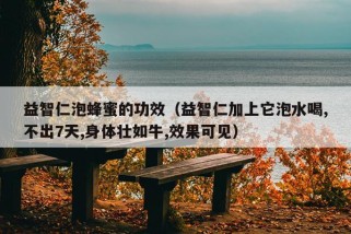 益智仁泡蜂蜜的功效（益智仁加上它泡水喝,不出7天,身体壮如牛,效果可见）