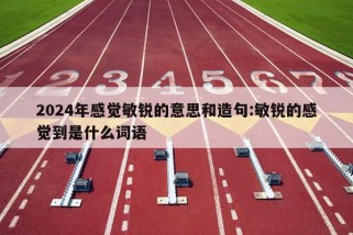 2024年感觉敏锐的意思和造句:敏锐的感觉到是什么词语