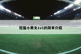 短篇小黄文1v1的简单介绍