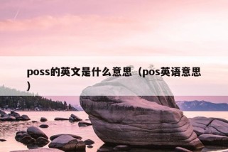 poss的英文是什么意思（pos英语意思）