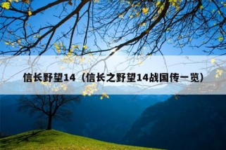 信长野望14（信长之野望14战国传一览）