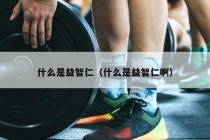 什么是益智仁（什么是益智仁啊）