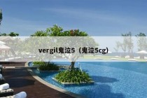 vergil鬼泣5（鬼泣5cg）