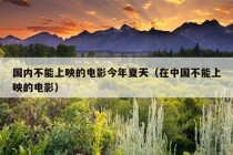 国内不能上映的电影今年夏天（在中国不能上映的电影）