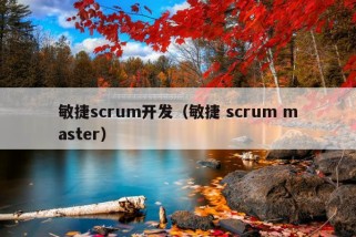 敏捷scrum开发（敏捷 scrum master）