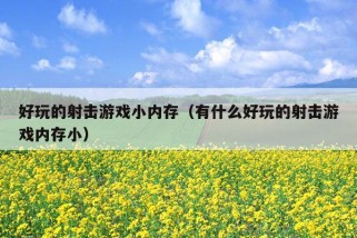 好玩的射击游戏小内存（有什么好玩的射击游戏内存小）