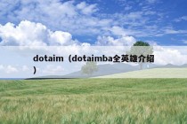 dotaim（dotaimba全英雄介绍）