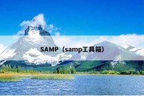 SAMP（samp工具箱）