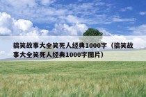 搞笑故事大全笑死人经典1000字（搞笑故事大全笑死人经典1000字图片）