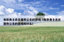 有款勇士去古堡救公主的游戏（有款勇士去古堡救公主的游戏叫什么）