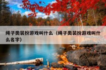 绳子类装扮游戏叫什么（绳子类装扮游戏叫什么名字）