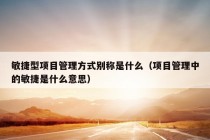 敏捷型项目管理方式别称是什么（项目管理中的敏捷是什么意思）