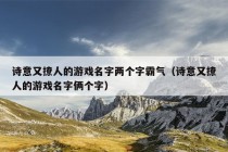 诗意又撩人的游戏名字两个字霸气（诗意又撩人的游戏名字俩个字）