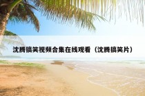 沈腾搞笑视频合集在线观看（沈腾搞笑片）