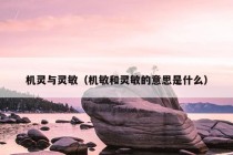 机灵与灵敏（机敏和灵敏的意思是什么）