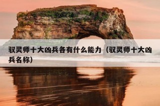 驭灵师十大凶兵各有什么能力（驭灵师十大凶兵名称）