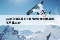 2024年搞笑综艺节目片段有哪些:搞笑综艺节目2020