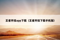 王者开挂app下载（王者开挂下载手机版）