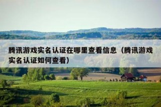 腾讯游戏实名认证在哪里查看信息（腾讯游戏实名认证如何查看）