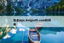 包含wps.kingsoft.com的词条