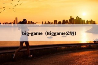 big-game（Biggame公链）