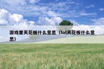 游戏里天花板什么意思（lol天花板什么意思）