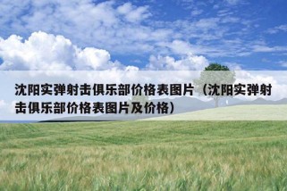 沈阳实弹射击俱乐部价格表图片（沈阳实弹射击俱乐部价格表图片及价格）