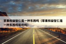 草果和益智仁是一种东西吗（草果和益智仁是一种东西吗能吃吗）