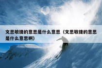 文思敏捷的意思是什么意思（文思敏捷的意思是什么意思啊）