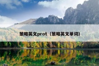 策略英文prot（策略英文单词）