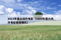 2023年最火动作电影（2023年最火动作电影致命弹片）