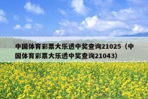 中国体育彩票大乐透中奖查询21025（中国体育彩票大乐透中奖查询21043）