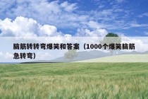 脑筋转转弯爆笑和答案（1000个爆笑脑筋急转弯）