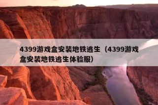 4399游戏盒安装地铁逃生（4399游戏盒安装地铁逃生体验服）